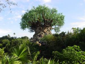 animal kingdom tree