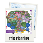 Tips and tricks for planning the best visit to Disneyland or Disney World